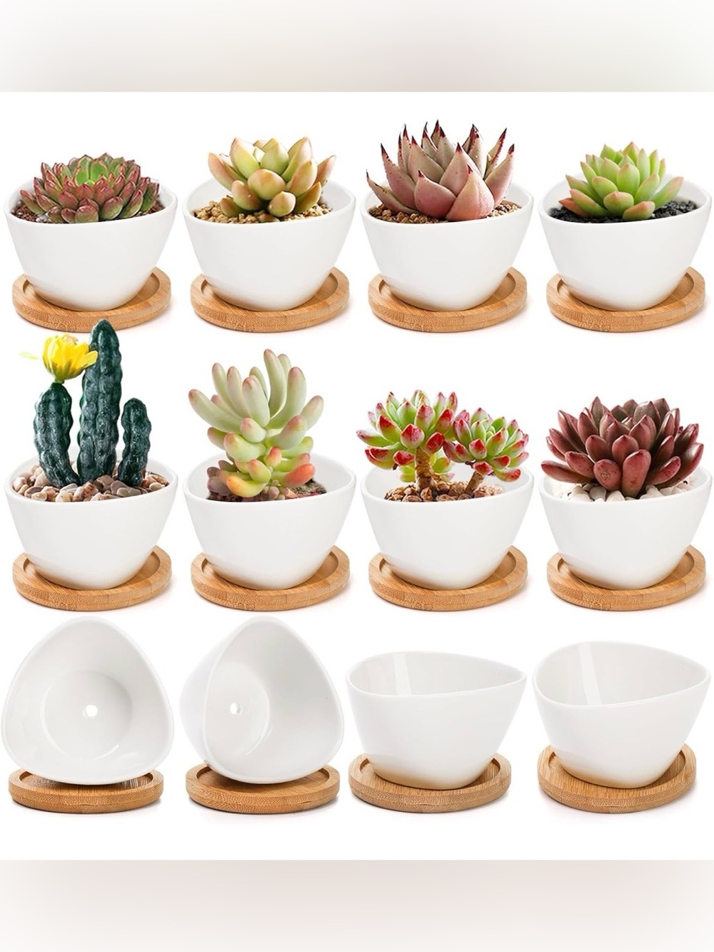 11 Pack Mini Succulent Planter Pots, Small Ceramic Cactus Planters White Plant